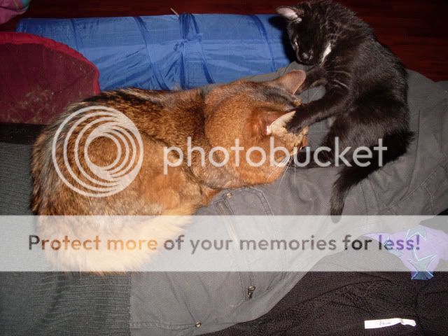 SDC14710.jpg