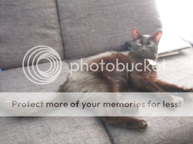 SDC15464.jpg