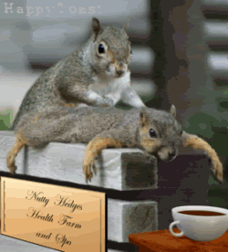 image001-1.gif