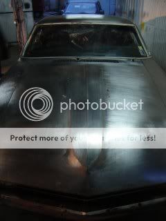 Fastback Fastback