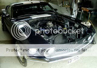 motor motor