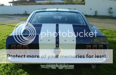 Fastback Fastback